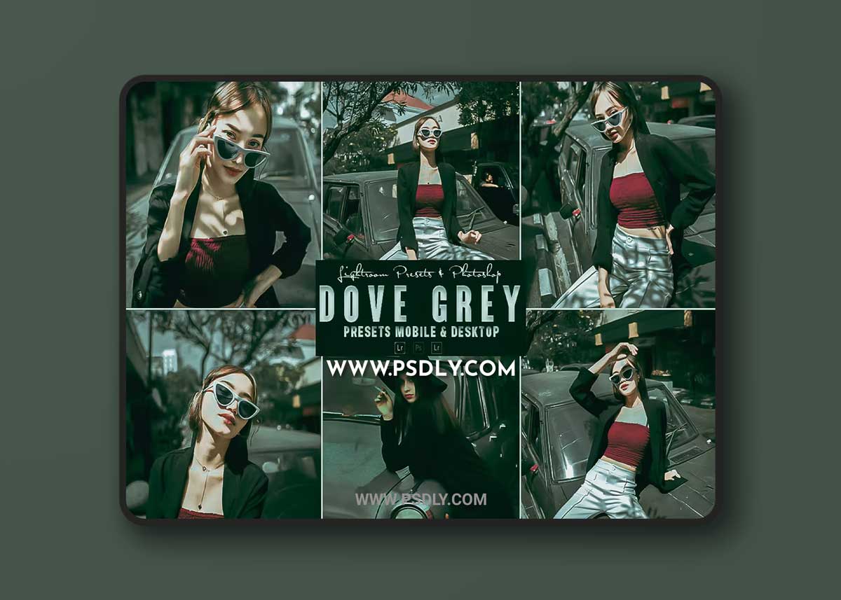 Dove Grey Photoshop Action & Lightrom Presets 1 Dove Grey Photoshop Action & Lightrom Presets