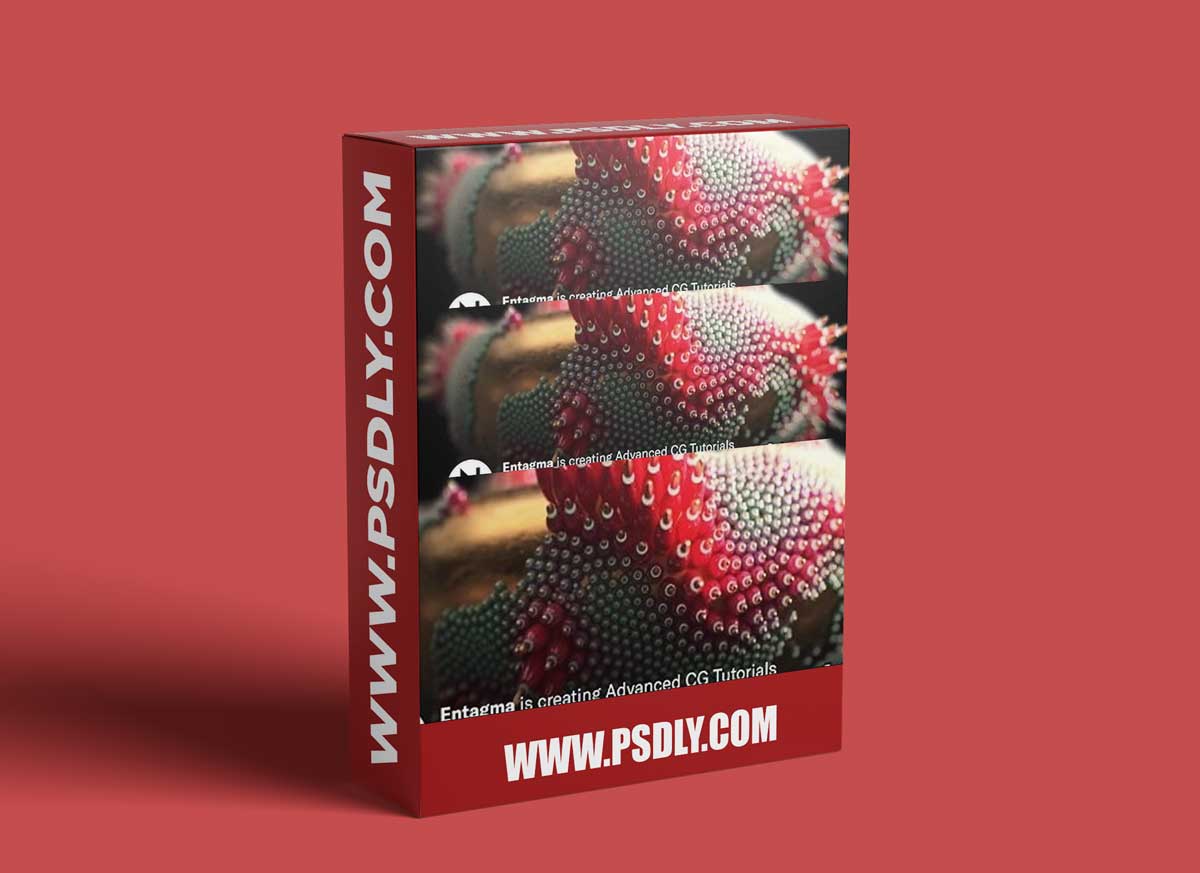 Entagma - Patreon Advanced CG Tutorials (December 2024) 1 Entagma - Patreon Advanced CG Tutorials (December 2024)