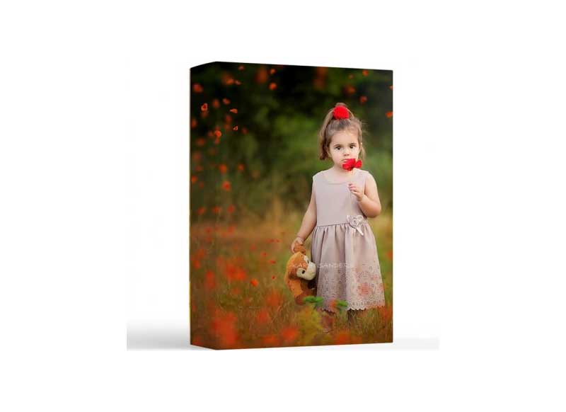 Kimla Designs - Wild Poppies Photo Overlays 1 Kimla Designs - Wild Poppies Photo Overlays