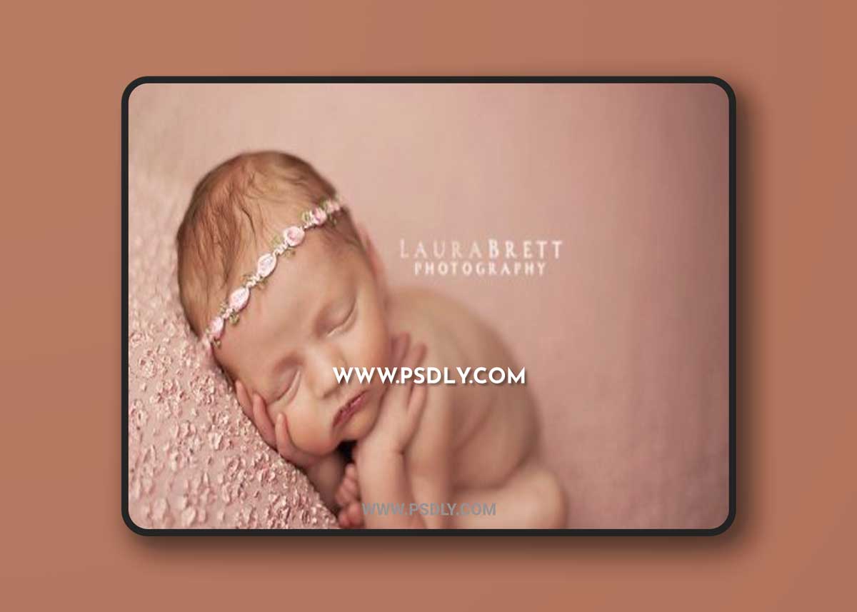 Laura Brett Photography Complete Action Set 1 Laura Brett Photography Complete Action Set