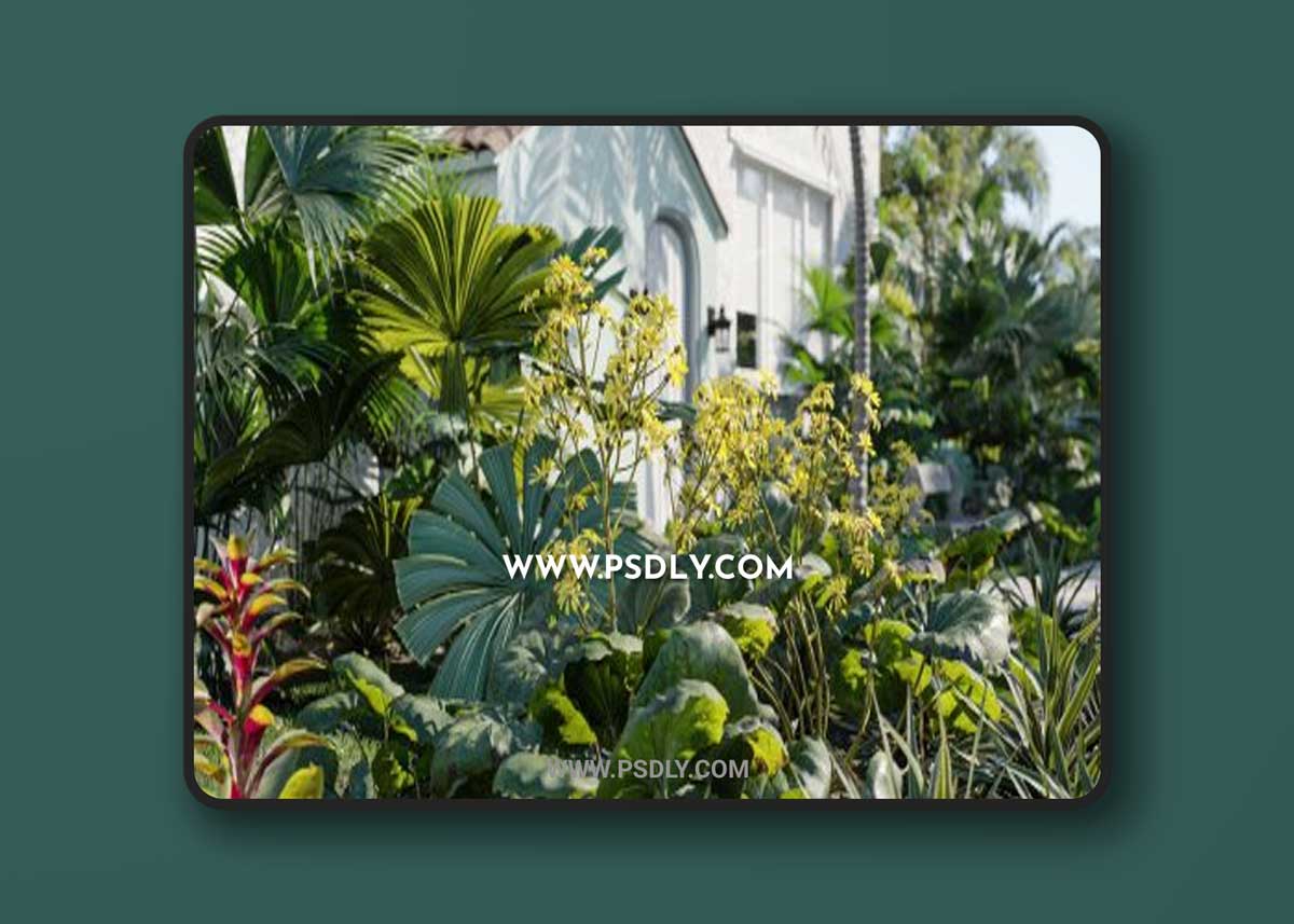 Maxtree – Plant Models Vol.18 1 Maxtree – Plant Models Vol.18