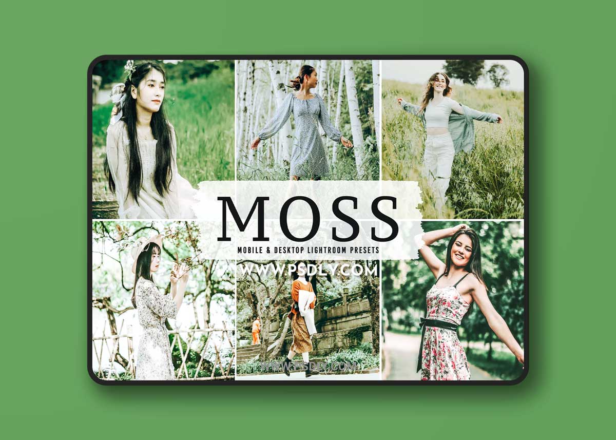 Moss Mobile & Desktop Lightroom Presets 1 Moss Mobile & Desktop Lightroom Presets