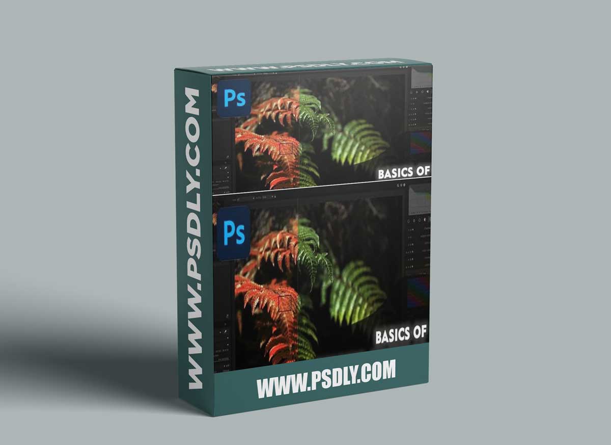 Photoshop Basics: Photo Editing Basics 1 Photoshop Basics: Photo Editing Basics