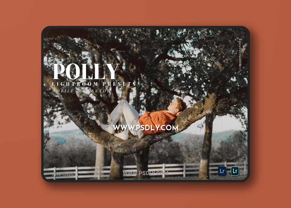Polly Mobile and Desktop Lightroom Presets 1 Polly Mobile and Desktop Lightroom Presets