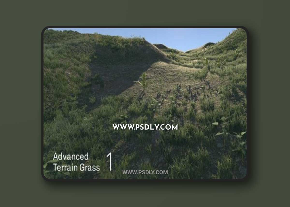 Unity - Advanced Terrain Grass v1.34 1 Unity - Advanced Terrain Grass v1.34
