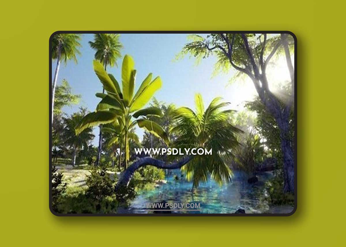 Unreal Engine – 3D-Scanned, Photo-Realistic Mauritius Asset Pack 1 Unreal Engine – 3D-Scanned, Photo-Realistic Mauritius Asset Pack