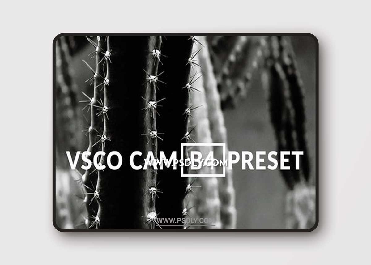 VSCO INSPIRED B4 LIGHTROOM PRESET BW 1 VSCO INSPIRED B4 LIGHTROOM PRESET BW