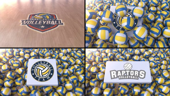 Videohive Volleyball Logo Reveal 2 35332154 1 Videohive Volleyball Logo Reveal 2 35332154
