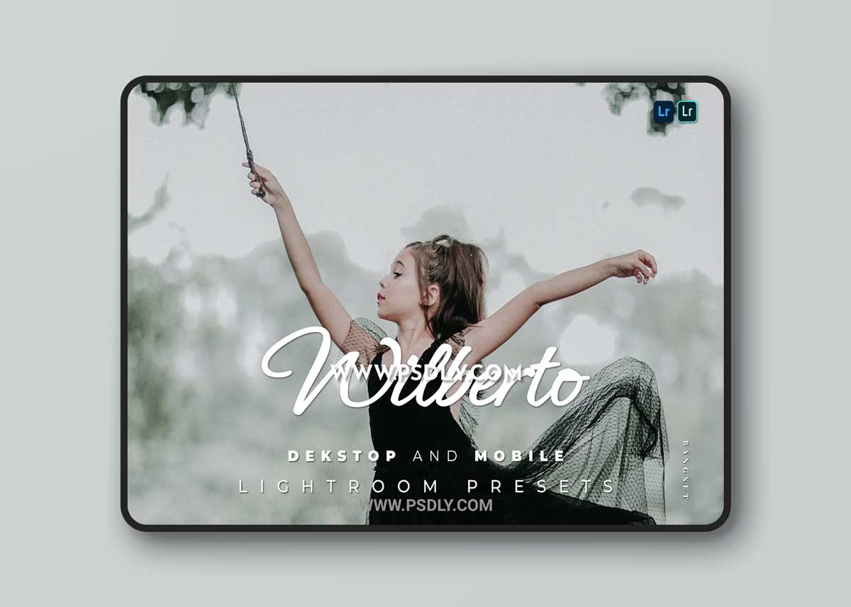 Wilberto Desktop and Mobile Lightroom Preset 1 Wilberto Desktop and Mobile Lightroom Preset