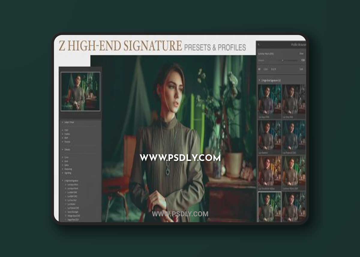 Z High-End Signature Presets + Profiles 1 Z High-End Signature Presets + Profiles