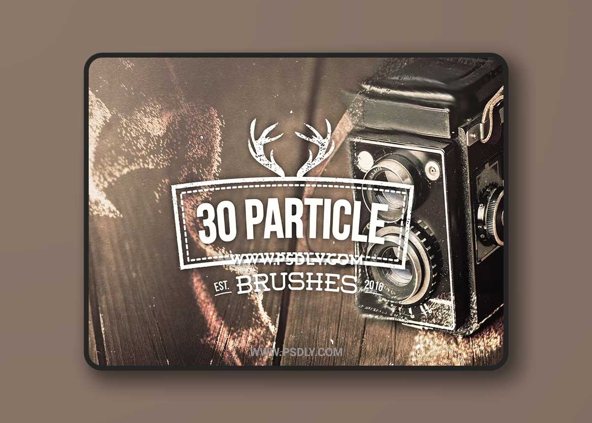 30 Particle Brushes 1 30 Particle Brushes
