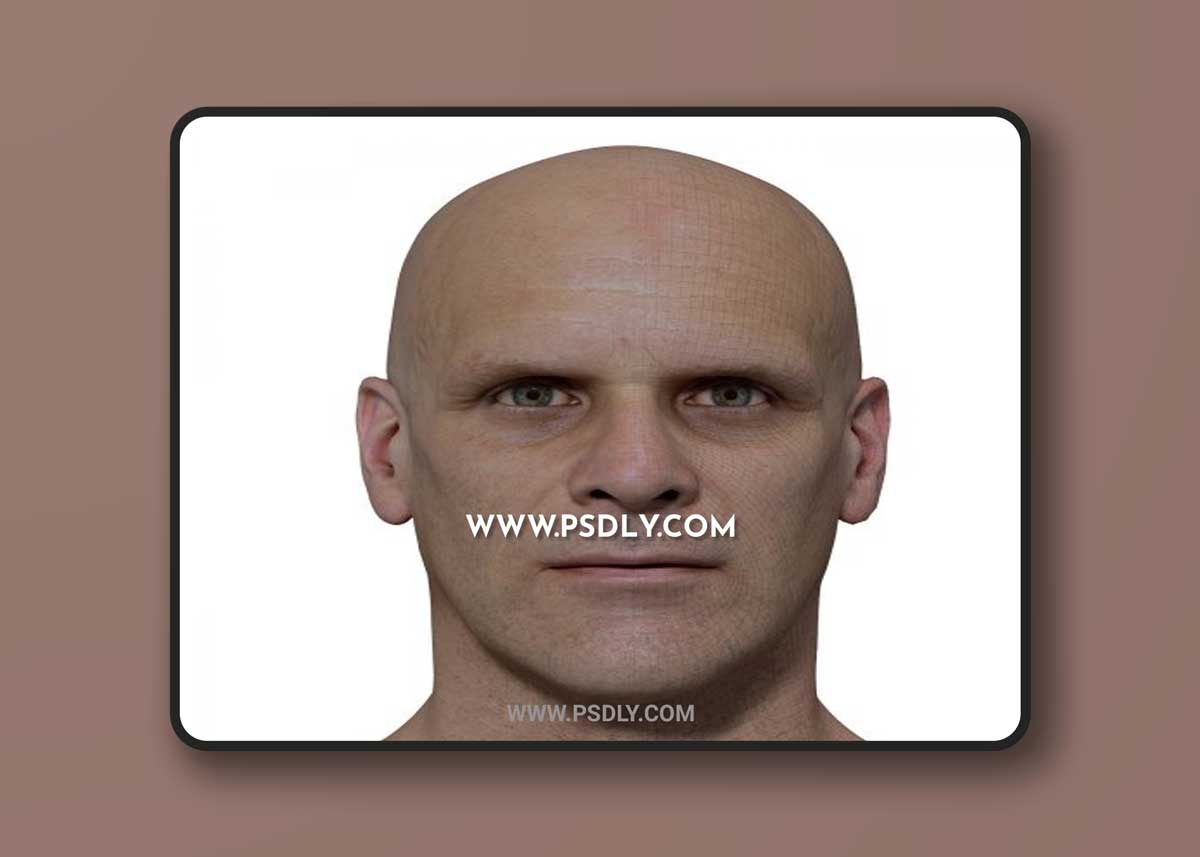 3D Scan Store - Retopologised Male Head 022 1 3D Scan Store - Retopologised Male Head 022