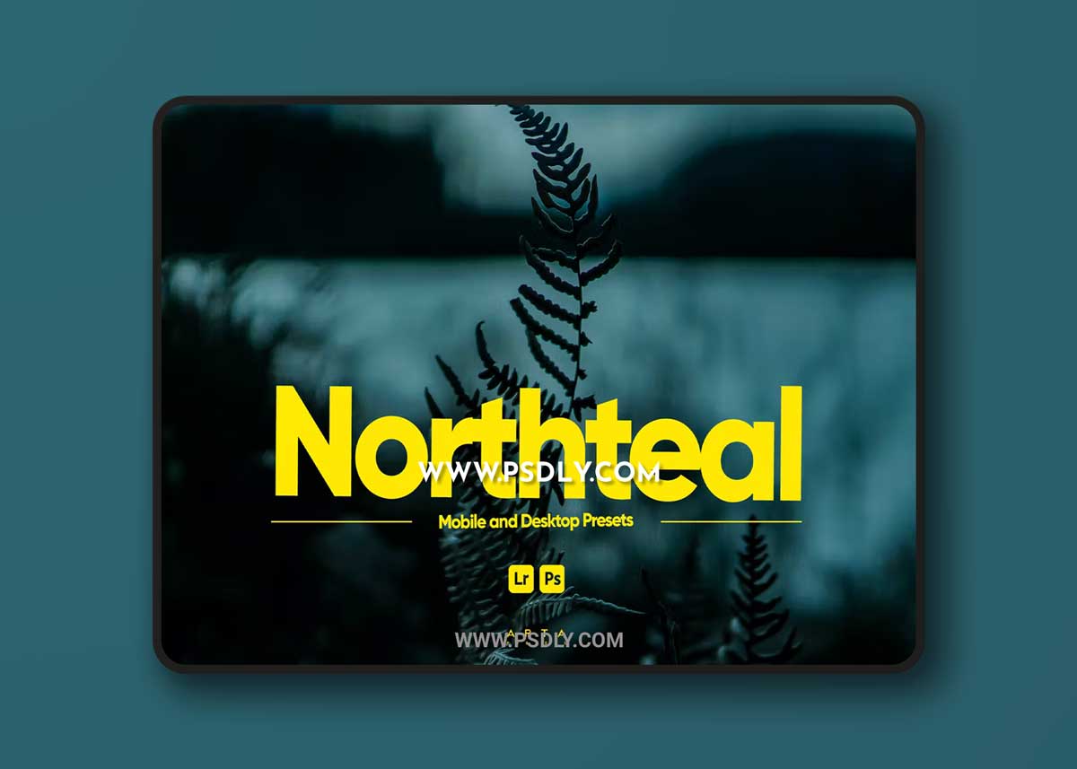 ARTA - Northteal Presets for Lightroom 1 ARTA - Northteal Presets for Lightroom