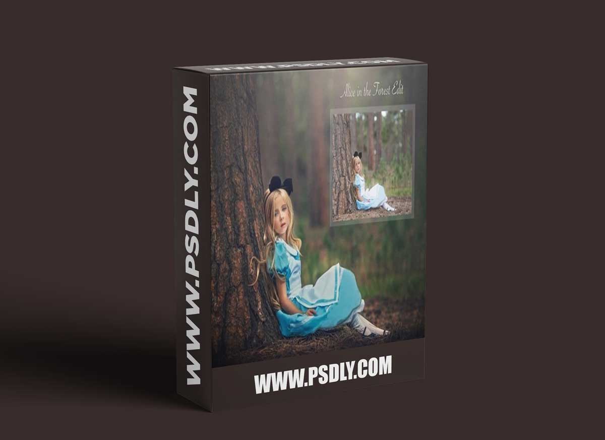 Alice in The Forest by Lisset Perrier Photography 1 Alice in The Forest by Lisset Perrier Photography