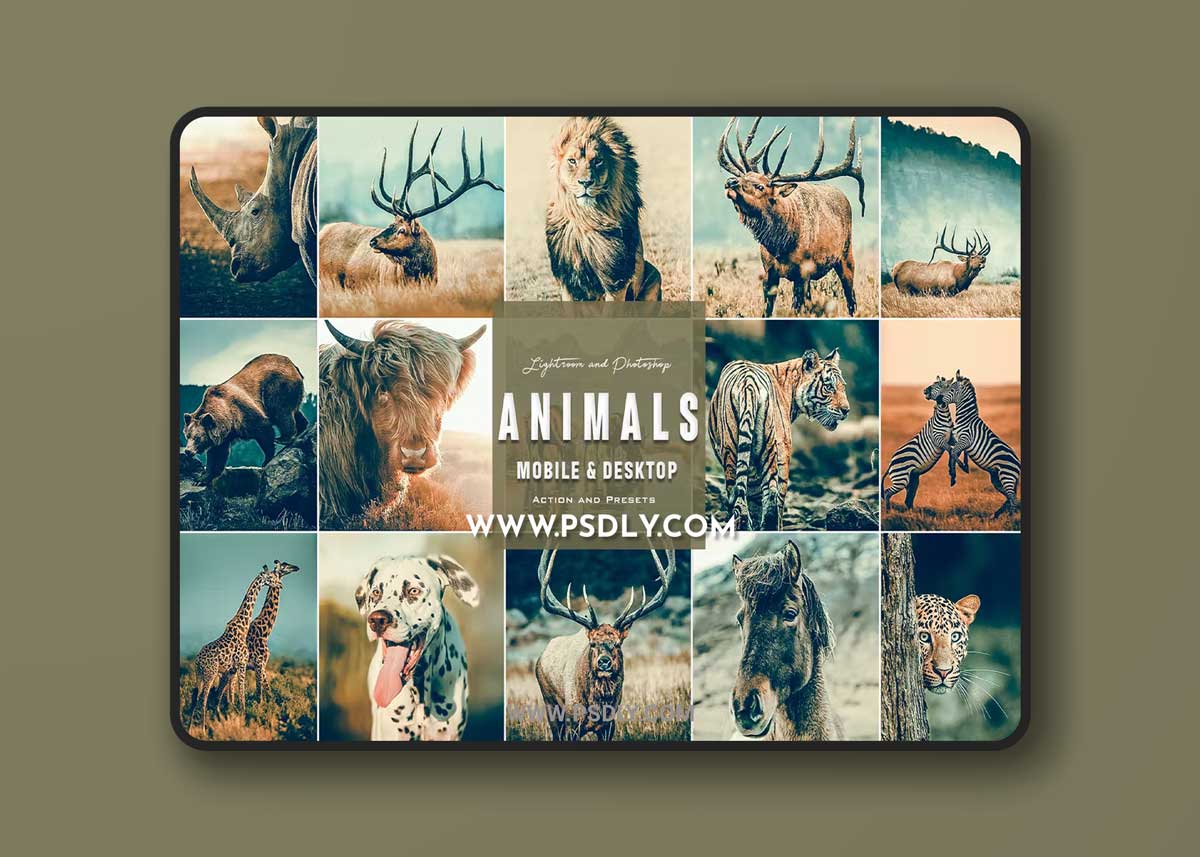 Animals Cinematic - Photoshop Actions & Presets 1 Animals Cinematic - Photoshop Actions & Presets