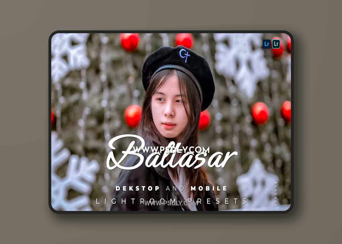 Baltasar Desktop and Mobile Lightroom Preset 1 Baltasar Desktop and Mobile Lightroom Preset