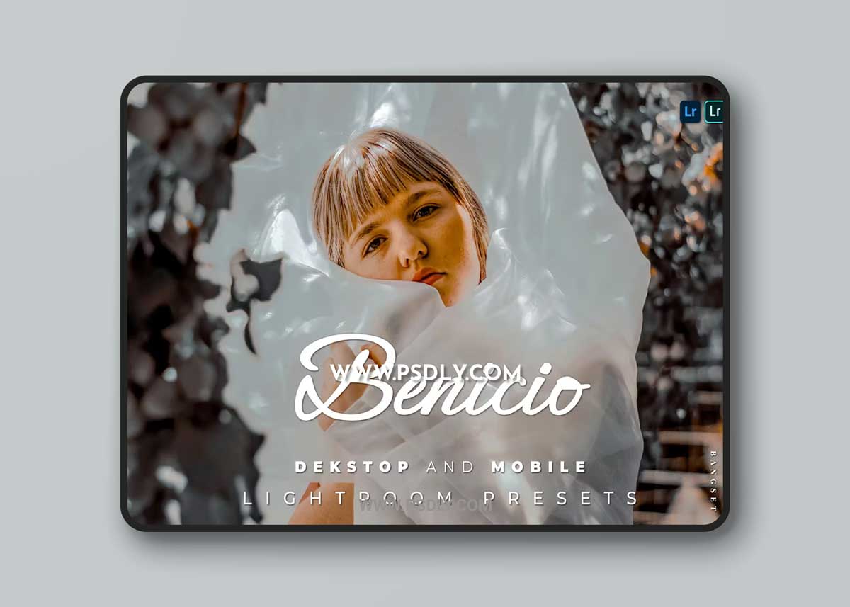 Benicio Desktop and Mobile Lightroom Preset 1 Benicio Desktop and Mobile Lightroom Preset