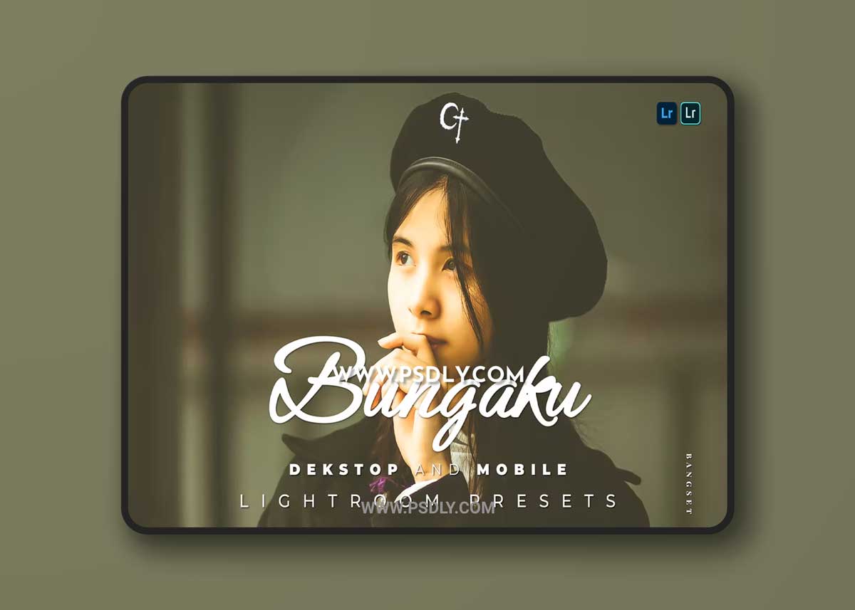 Bungaku Desktop and Mobile Lightroom Preset 1 Bungaku Desktop and Mobile Lightroom Preset