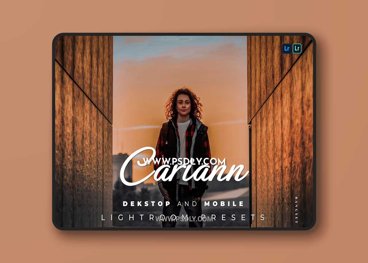 Cariann Desktop and Mobile Lightroom Preset 1 Cariann Desktop and Mobile Lightroom Preset