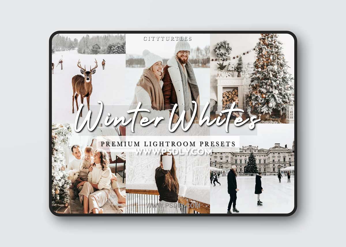CreativeMarket - Bright Clean WINTER WHITES Presets 4332433 1 CreativeMarket - Bright Clean WINTER WHITES Presets 4332433