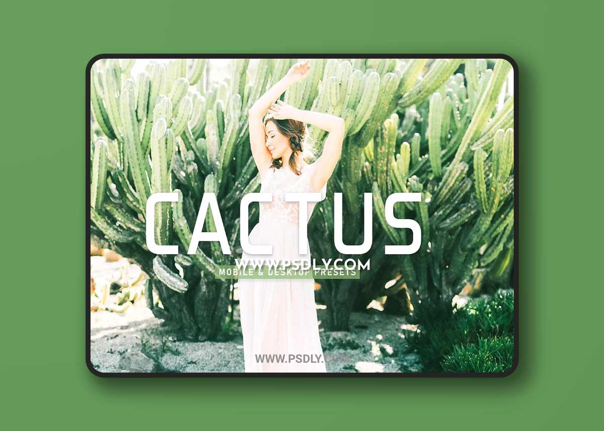 CreativeMarket - Cactus Pro Lightroom Presets 6923110 1 CreativeMarket - Cactus Pro Lightroom Presets 6923110