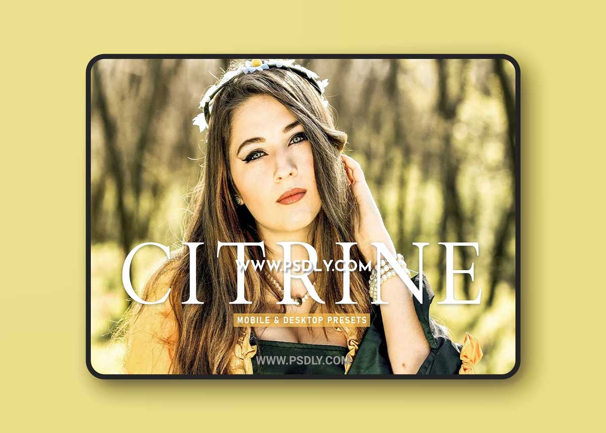 CreativeMarket - Citrine Pro Lightroom Presets 6923254 1 CreativeMarket - Citrine Pro Lightroom Presets 6923254