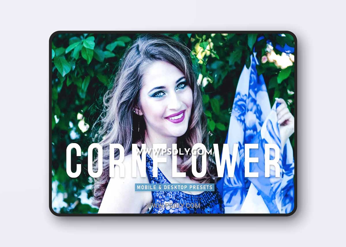 CreativeMarket - Cornflower Pro Lightroom Presets 6923255 1 CreativeMarket - Cornflower Pro Lightroom Presets 6923255