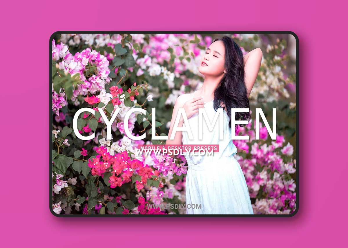 CreativeMarket - Cyclamen Pro Lightroom Presets 6923256 1 CreativeMarket - Cyclamen Pro Lightroom Presets 6923256