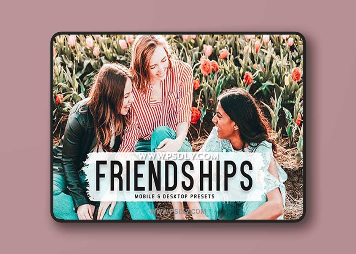 CreativeMarket - Friendships Pro Lightroom Presets 6812637 1 CreativeMarket - Friendships Pro Lightroom Presets 6812637