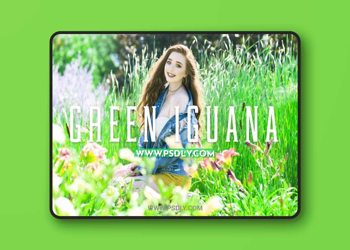 CreativeMarket - Green Lguana Pro Lightroom Presets 6923960 1 CreativeMarket - Green Lguana Pro Lightroom Presets 6923960