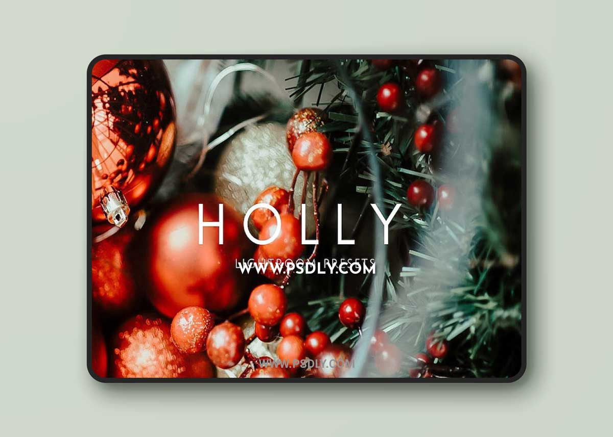 CreativeMarket - HOLLY Rich Vibrant Lightroom Presets 3315942 1 CreativeMarket - HOLLY Rich Vibrant Lightroom Presets 3315942