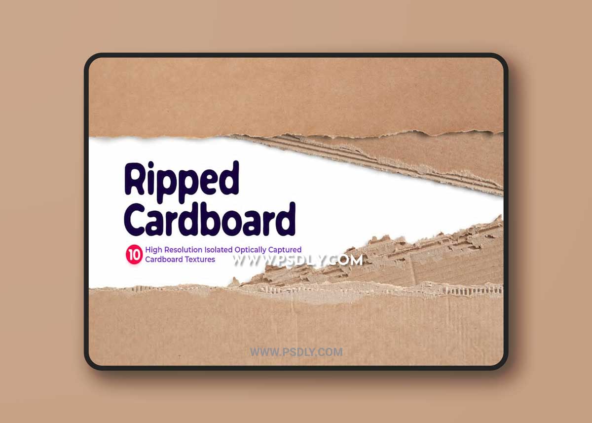 CreativeMarket - Ripped Cardboards 6725318 1 CreativeMarket - Ripped Cardboards 6725318