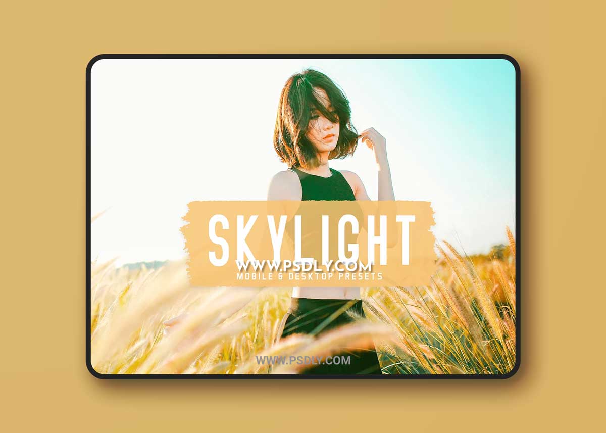 CreativeMarket - Skylight Pro Lightroom Presets 6834951 1 CreativeMarket - Skylight Pro Lightroom Presets 6834951