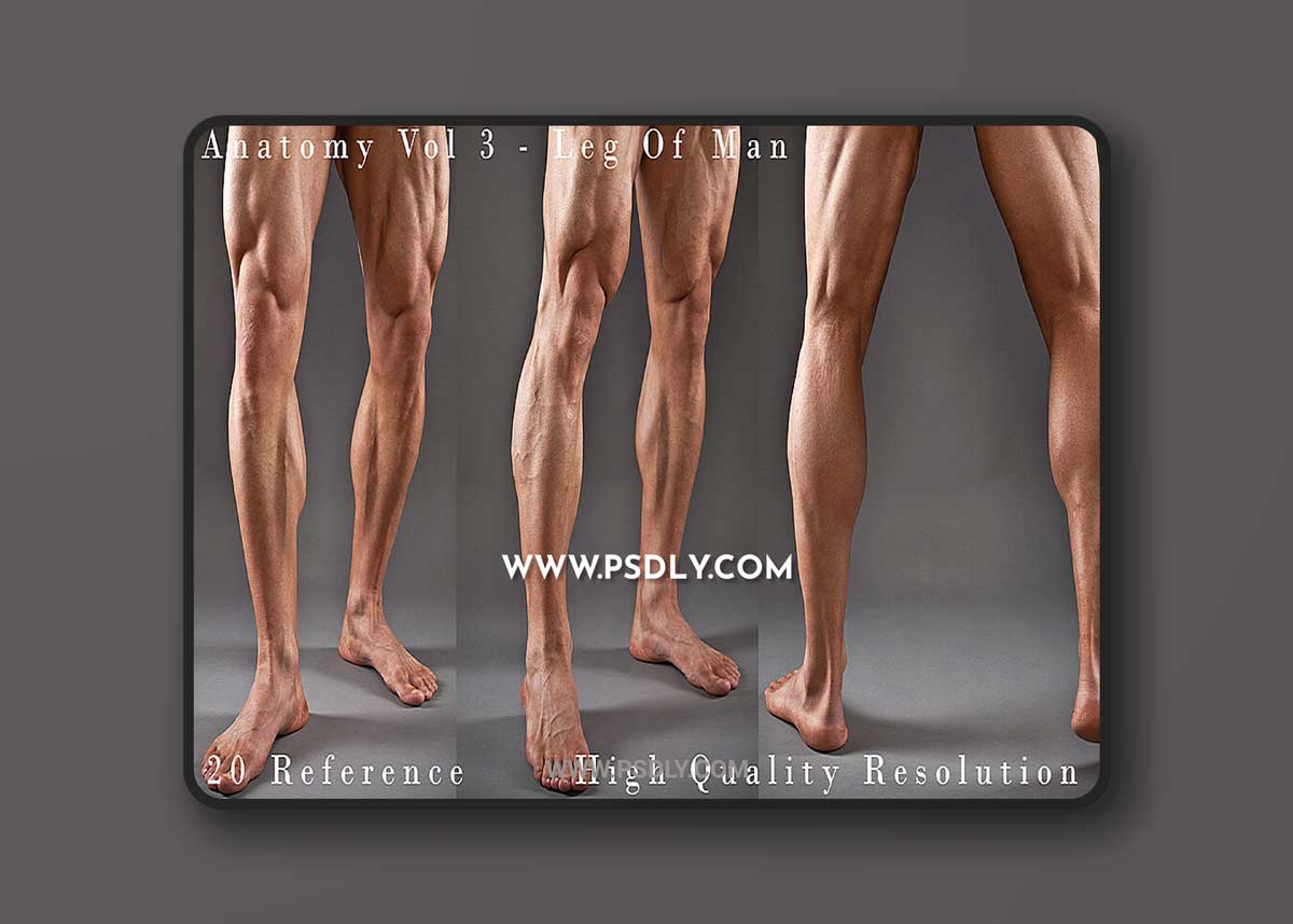 Cubebrush - Hector - Anatomy Vol 3 - Leg Of Man Details 1 Cubebrush - Hector - Anatomy Vol 3 - Leg Of Man Details