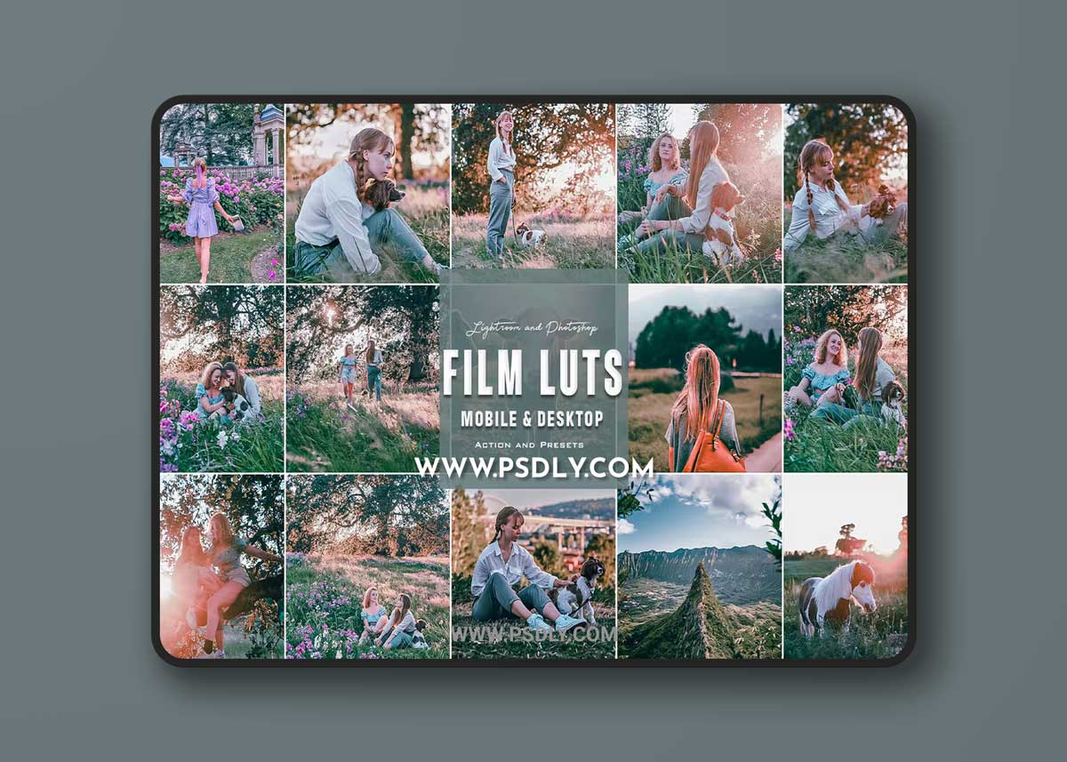 Film Luts - Photoshop Actions & Lightroom Presets 1 Film Luts - Photoshop Actions & Lightroom Presets