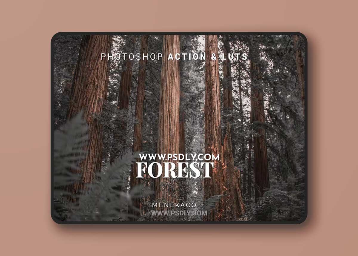 Forest Photoshop Action & LUTs 1 Forest Photoshop Action & LUTs