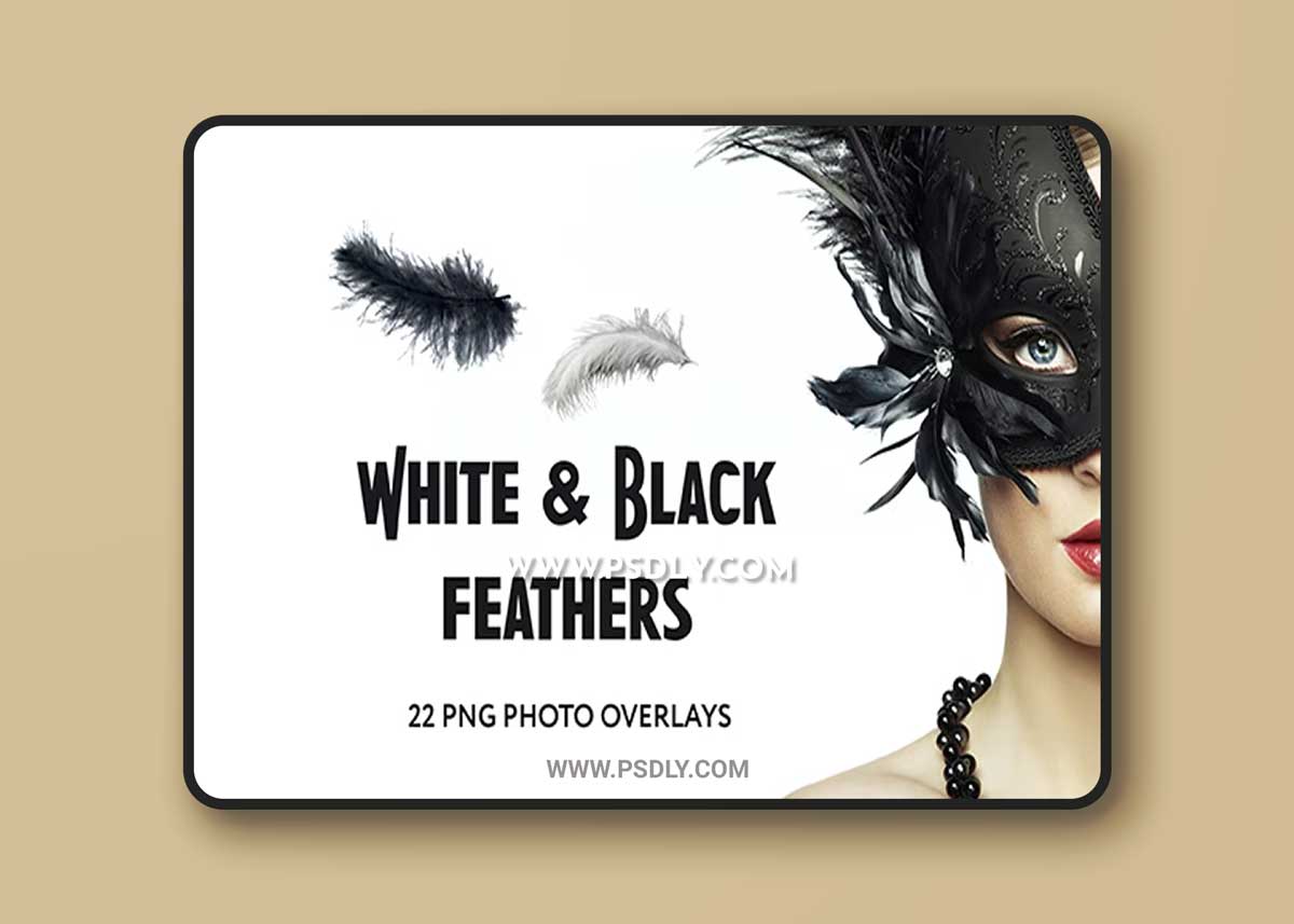 GraphicRiver - 22 White and Black feathers Photo Overlays 34831392 1 GraphicRiver - 22 White and Black feathers Photo Overlays 34831392