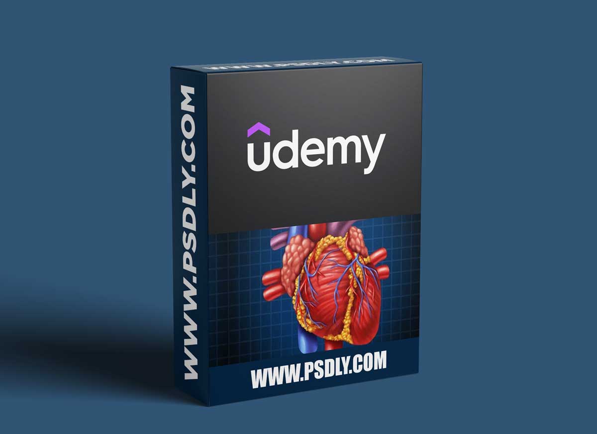 Learn Cardiac Anatomy and physiology from scratch 1 Learn Cardiac Anatomy and physiology from scratch