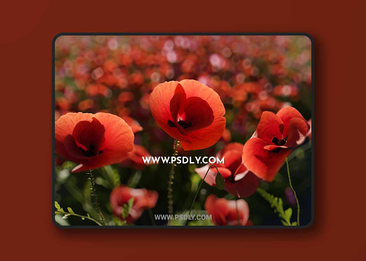 Megascans – Ground Cover Collection and Other (3D Plants) 1 Megascans – Ground Cover Collection and Other (3D Plants)