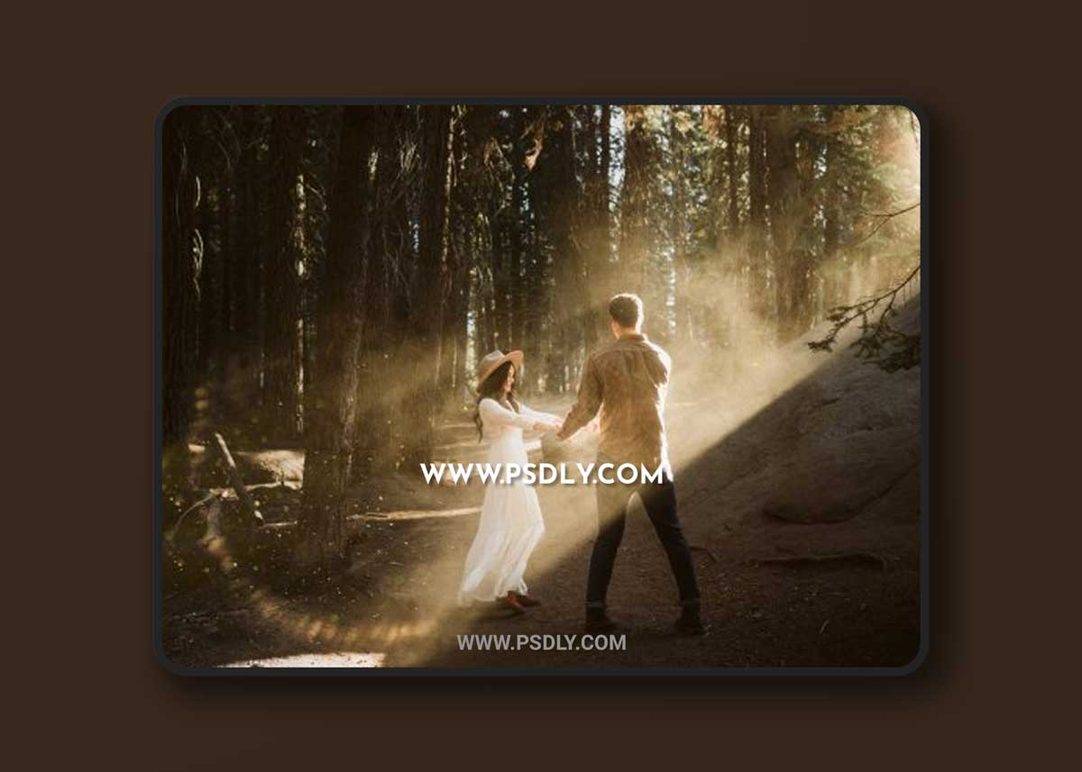 Meridian Presets - LLFx - Meg Loeks - Lens Flare V1 1 Meridian Presets - LLFx - Meg Loeks - Lens Flare V1