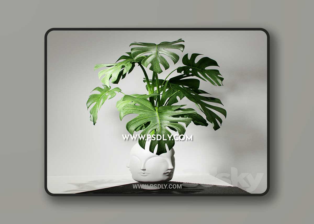 Monstera vase DORA MAAR by Jonathan Adler 1 Monstera vase DORA MAAR by Jonathan Adler