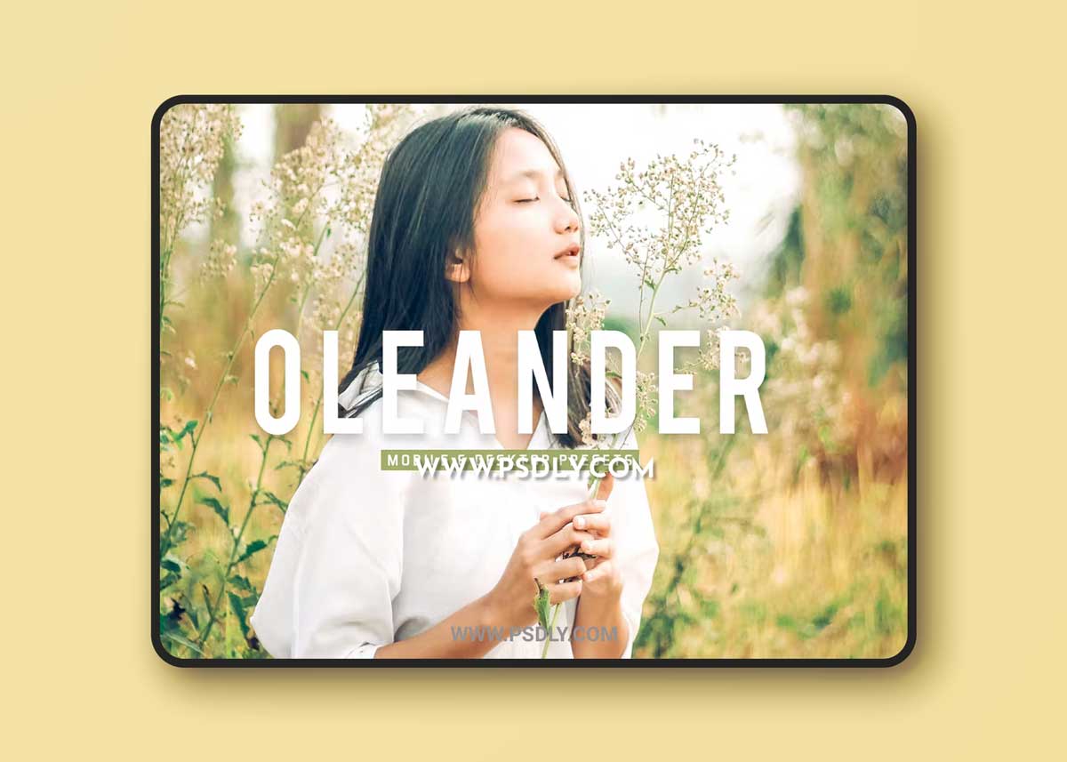 Oleander Mobile & Desktop Lightroom Presets K28DMF7 1 Oleander Mobile & Desktop Lightroom Presets K28DMF7