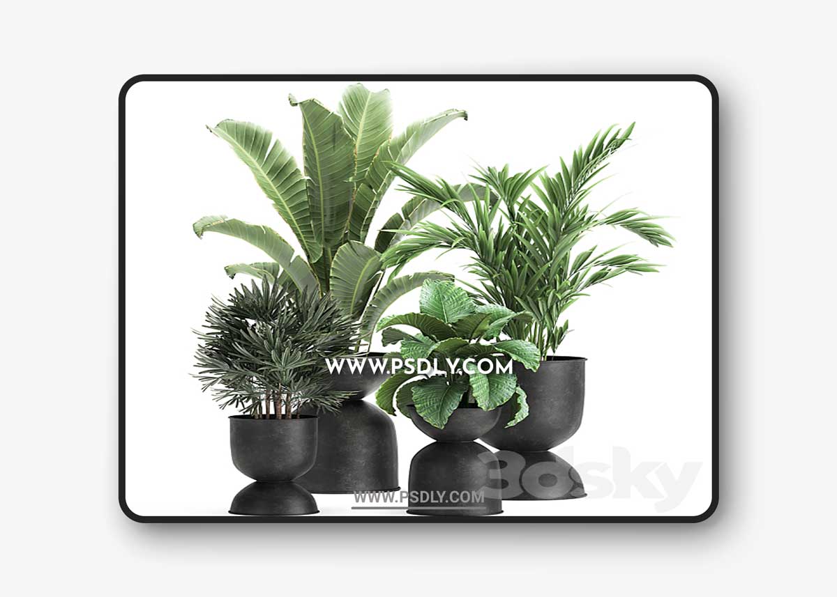 Plant collection 897 3D Model 1 Plant collection 897 3D Model