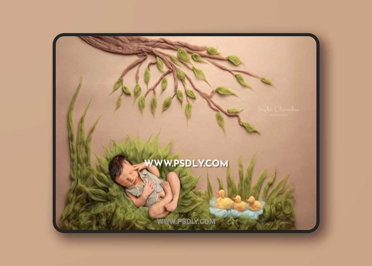 Sasha Chomakov - Newborn Digital Backdrop - Ducks 1 Sasha Chomakov - Newborn Digital Backdrop - Ducks