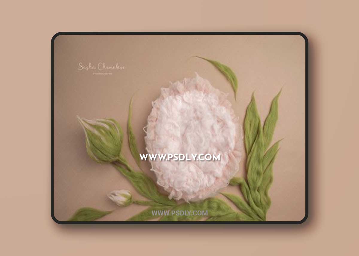 Sasha Chomakov - Newborn Digital Backdrop - Flower 1 Sasha Chomakov - Newborn Digital Backdrop - Flower