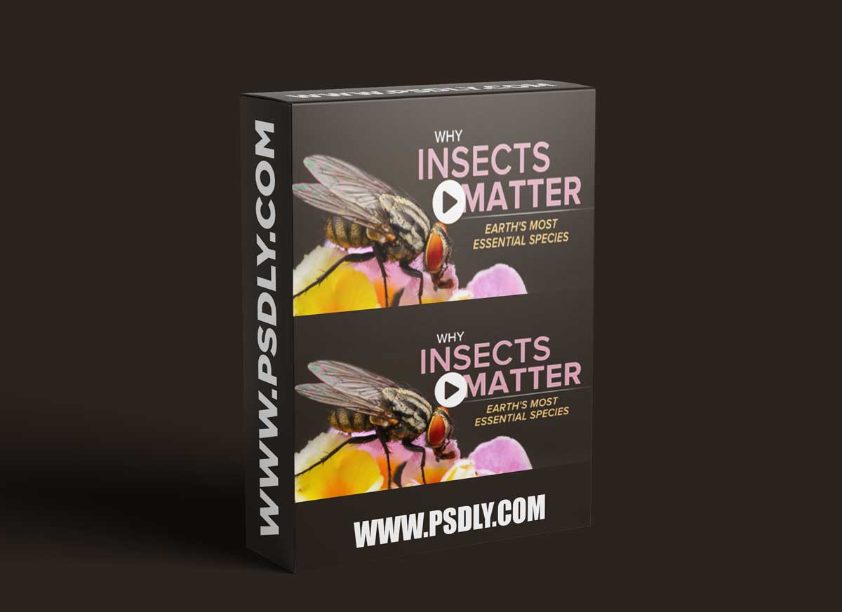 TTC - Why Insects Matter: Earth's Most Essential Species 1 TTC - Why Insects Matter: Earth's Most Essential Species