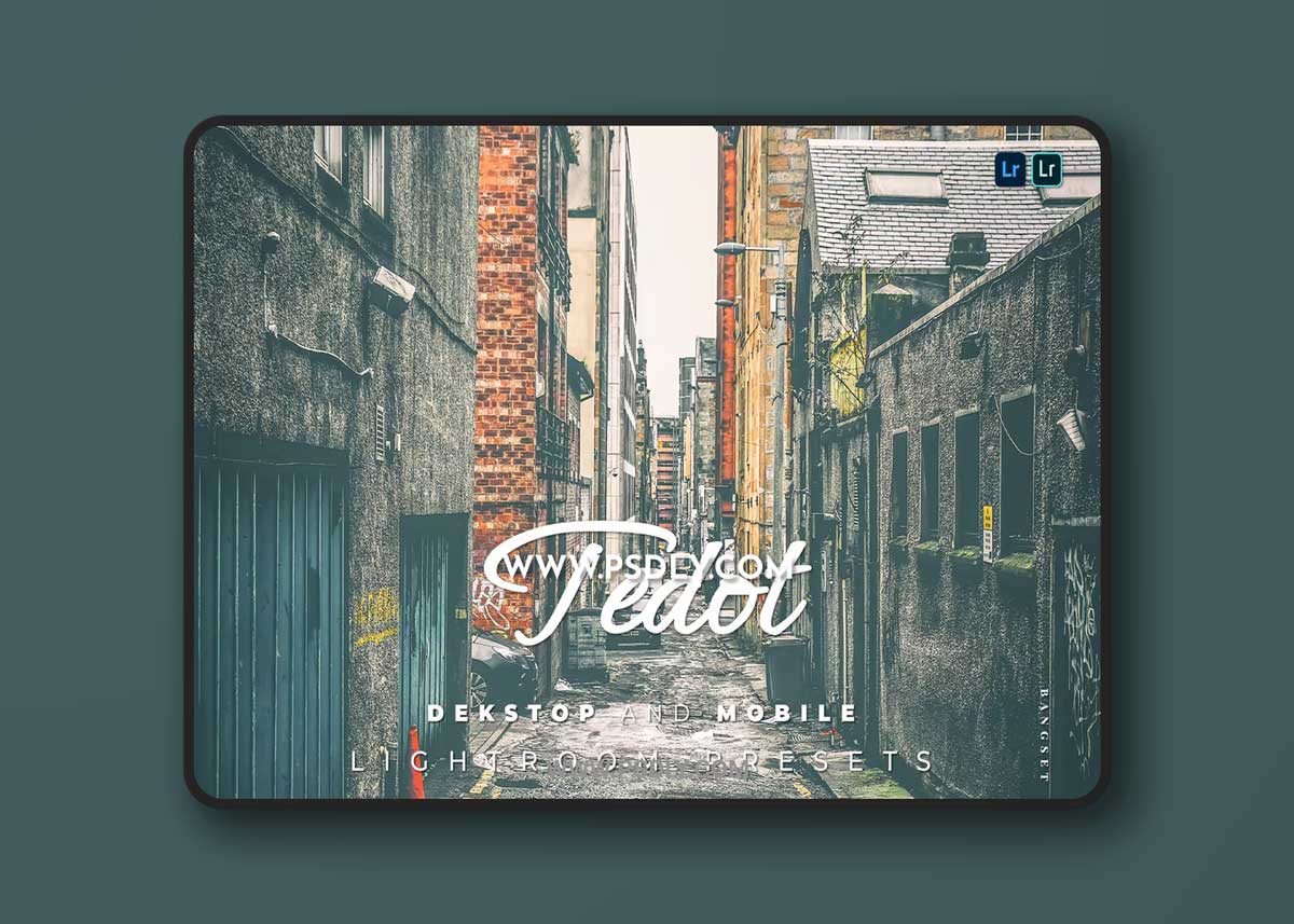 Tedot Desktop and Mobile Lightroom Preset 1 Tedot Desktop and Mobile Lightroom Preset