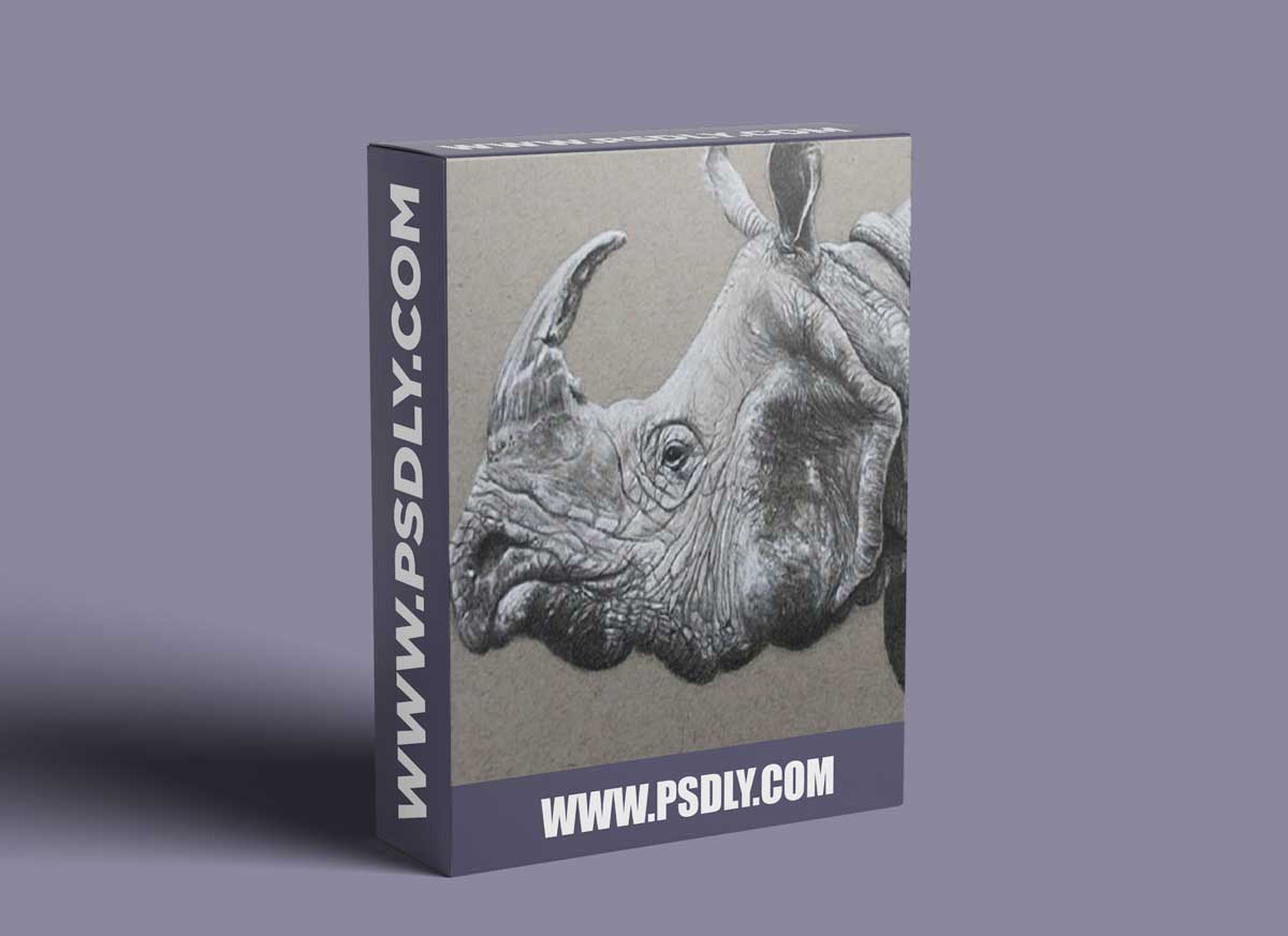 The Virtual Instructor - Rhino with Graphite and White Charcoal 1 The Virtual Instructor - Rhino with Graphite and White Charcoal