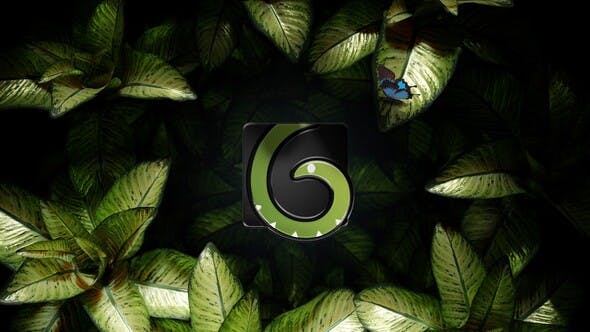 Videohive The Nature Mystery 34366232 1 Videohive The Nature Mystery 34366232