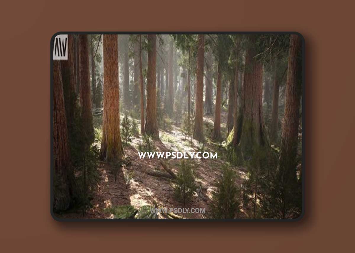 Unreal Engine – MW Mountain Redwood Trees Forest Biome 1 Unreal Engine – MW Mountain Redwood Trees Forest Biome